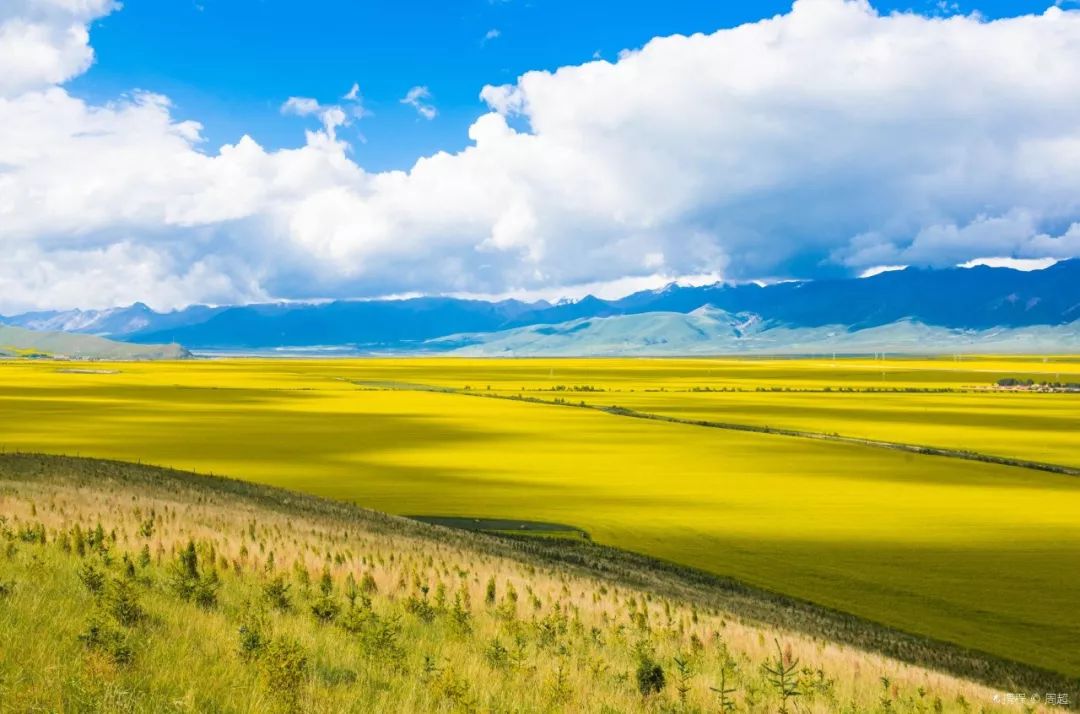 青海，绿色发展的绿色奇迹与挑战并存