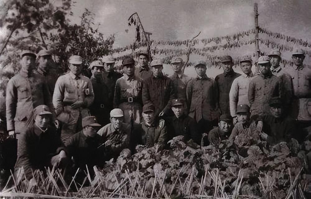 临汾任务完成步骤指南,适合初学者与进阶用户参考